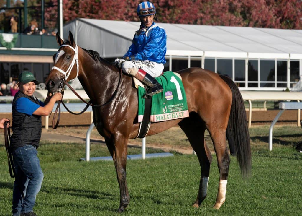 Malathaat © Mathea Kelley/Racingfotos.com