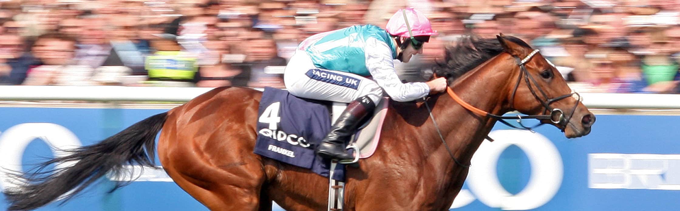 Picture of Juddmonte