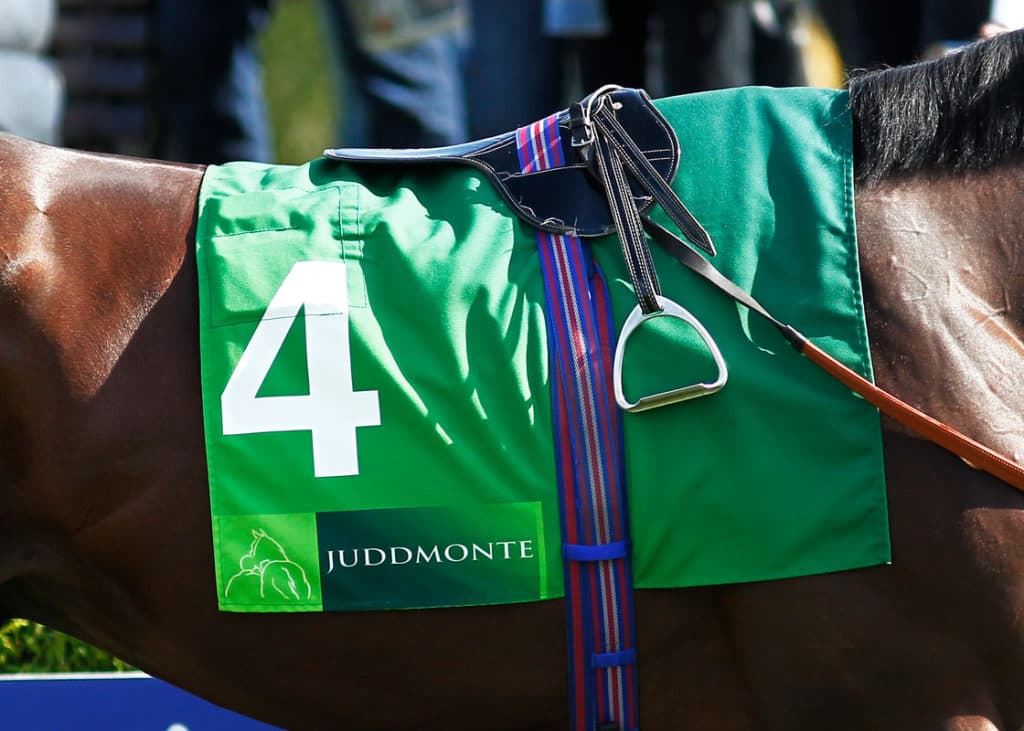 Saddle-Cloth-Sponsorship-1120x800