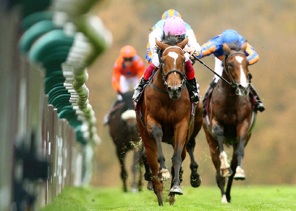 Enable-Arc