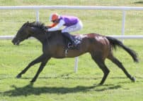 CURRAGH