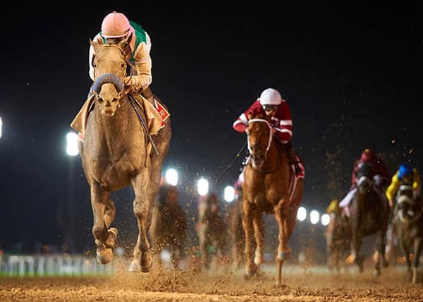 Arrogate-Dubai-World-Cup-1-For-Timeline