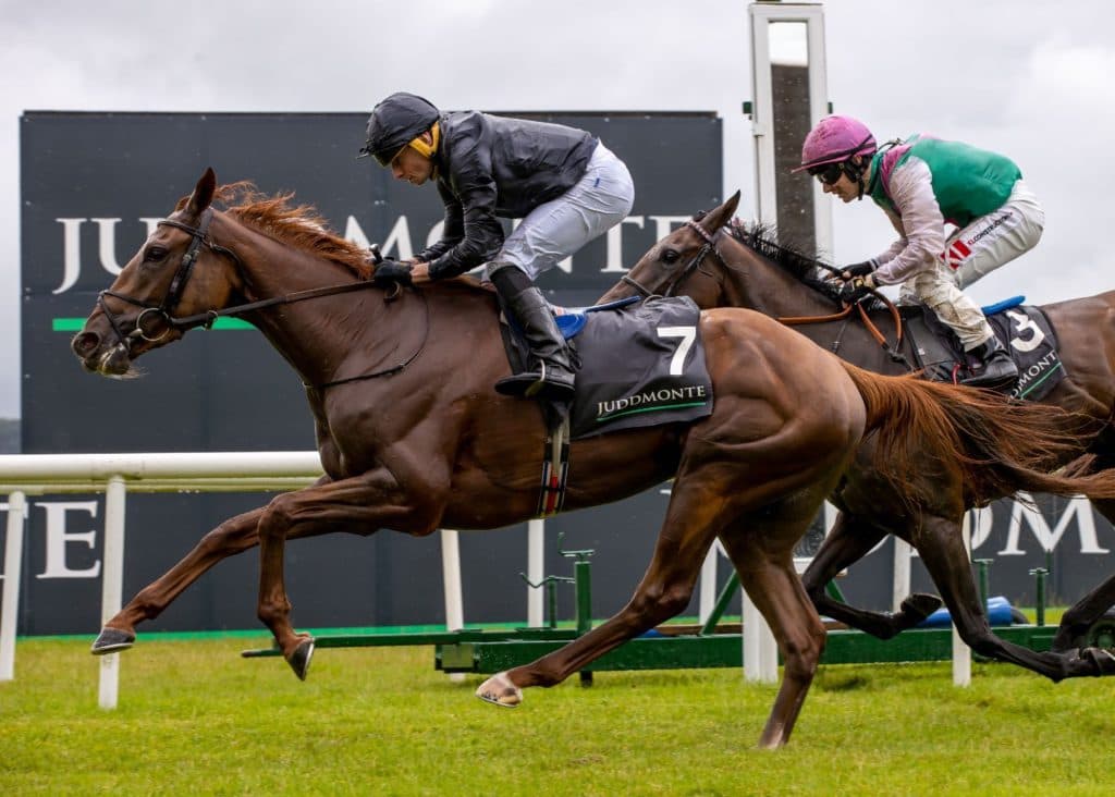 Savethelastdance © Morgan Treacy/Curragh Racecourse